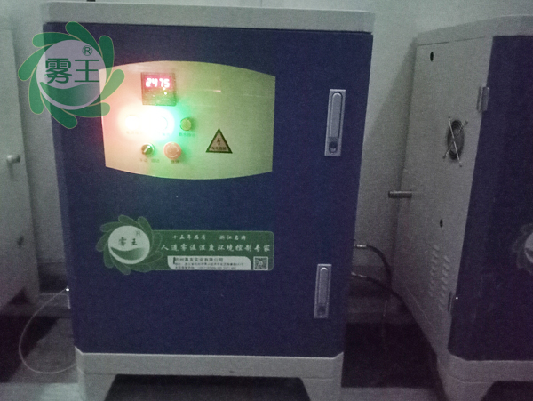 光伏固化車(chē)間高壓微霧加濕器加濕