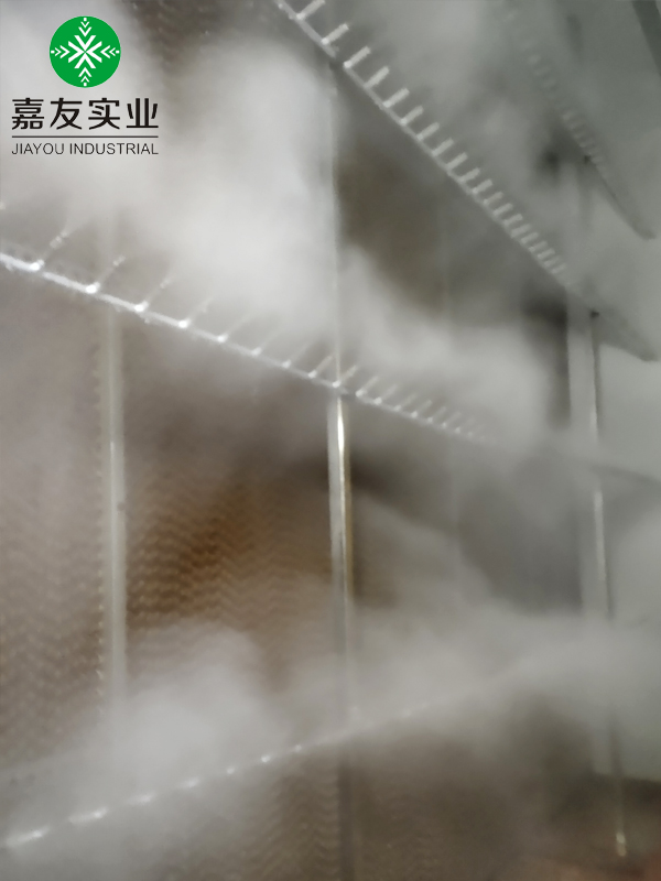 光伏車間空調(diào)機組高壓微霧加濕器 (6)